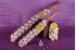 Lote Especial 2 Ristras + 1 Bolsa